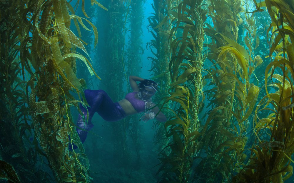 Deep Sea Green Mermaid Leggings
